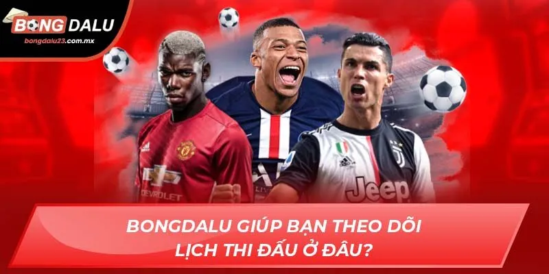 Bongdalu giúp bạn theo dõi lịch thi đấu ở đâu?