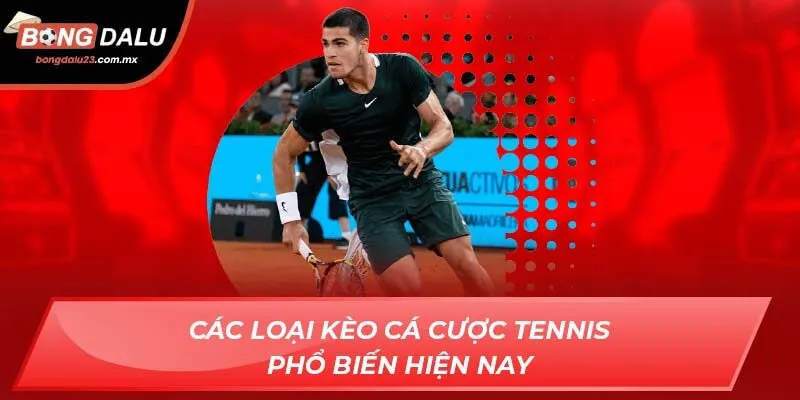 Các loại kèo cá cược tennis phổ biến hiện nay