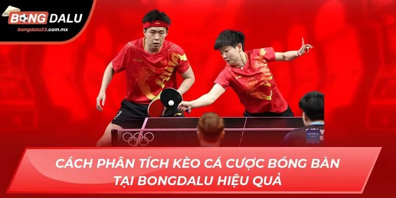 Cách phân tích kèo cá cược bóng bàn tại Bongdalu hiệu quả