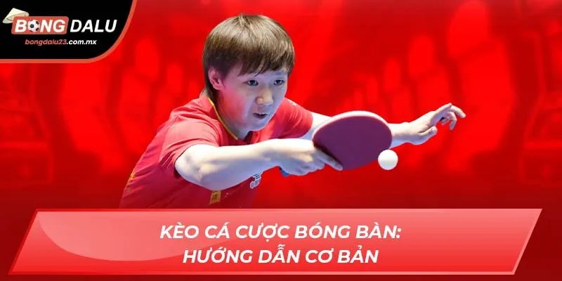 Kèo cá cược bóng bàn: Hướng dẫn cơ bản